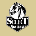 Select the Best logo